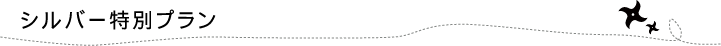 シルバー特別プラン