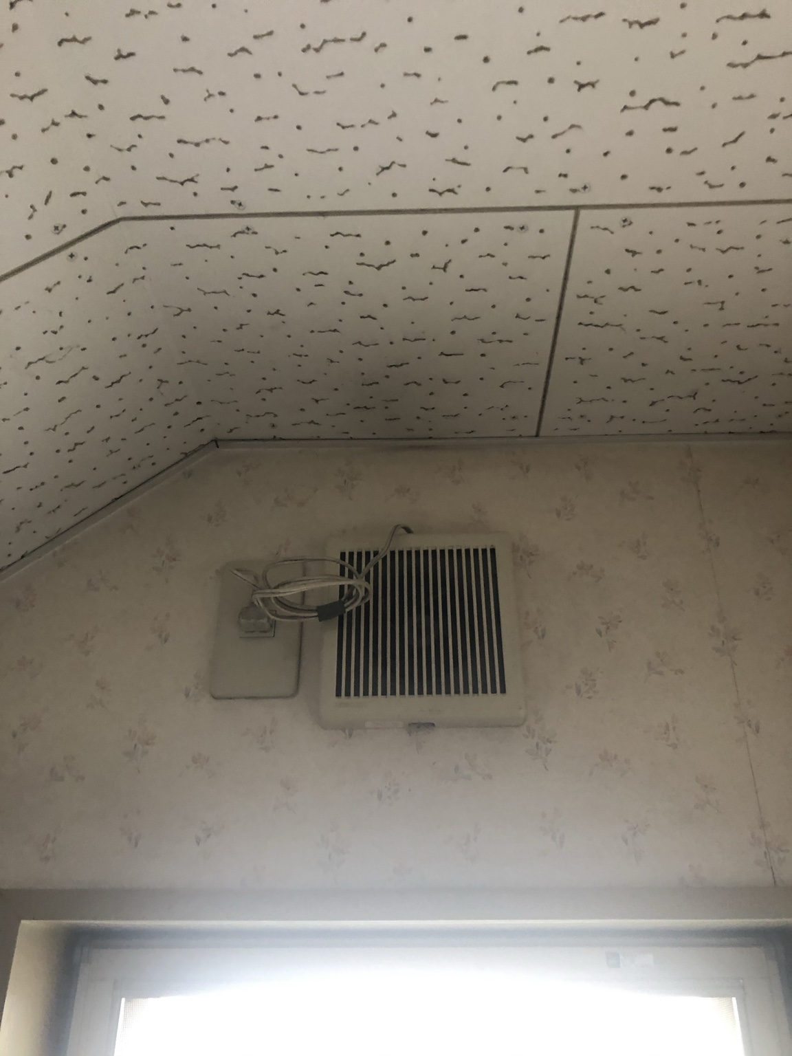 一般換気扇 交換前